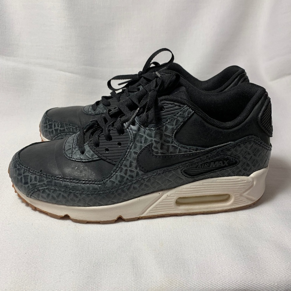 Nike Air Max